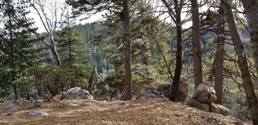 Will Abell Memorial Trail at Arrowhead Ridge | Lake Arrowhead, CA 92352, USA