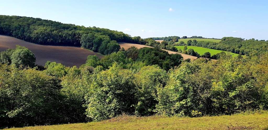 Great Church Wood Nature Reserve | Woldingham, Caterham CR3 7JG, UK