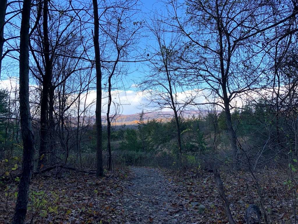 Appalachian Trail | Appalachian Trail, Highland Lakes, NJ 07422, USA