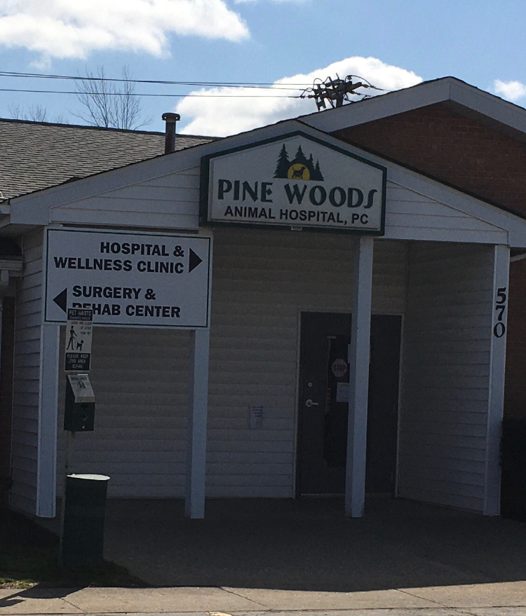 Pine Woods Animal Hospital | 570 E Robinson St, North Tonawanda, NY 14120, USA | Phone: (716) 695-7836