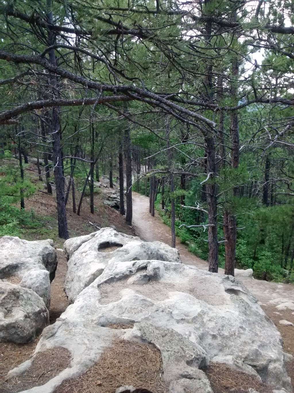 Spruce Mountain Open Space | 821 E Noe Rd, Larkspur, CO 80118, USA | Phone: (303) 660-7400