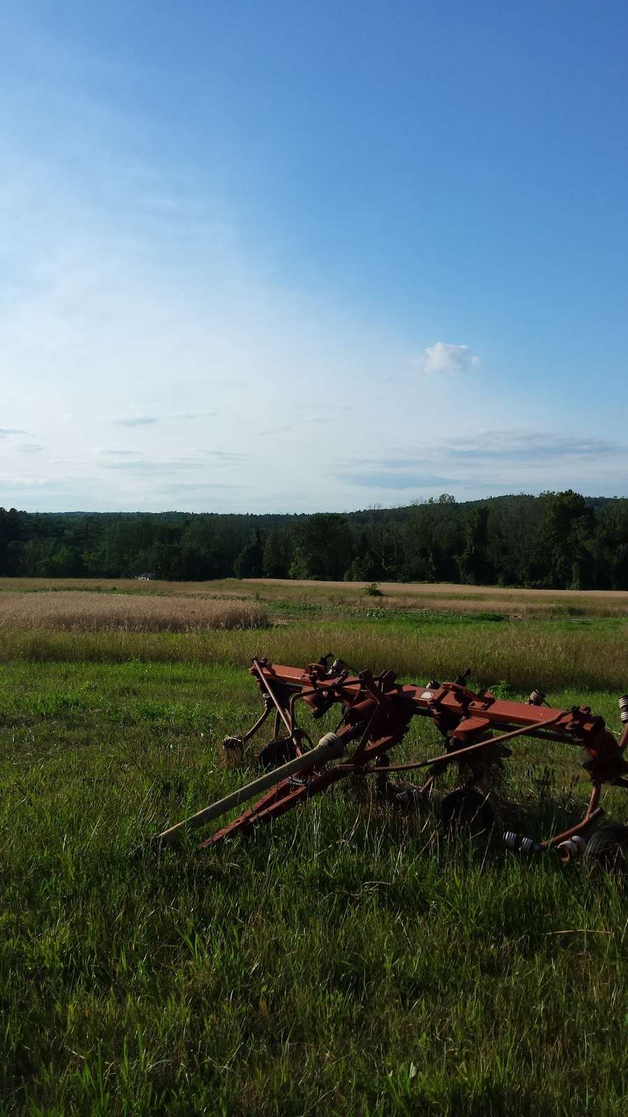 Johnson Highland View Farm | 101 Range Rd, Windham, NH 03087, USA | Phone: (603) 898-3831