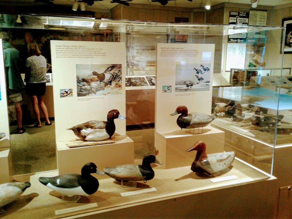 Havre De Grace Decoy Museum | 215 Giles St, Havre De Grace, MD 21078, USA | Phone: (410) 939-3739