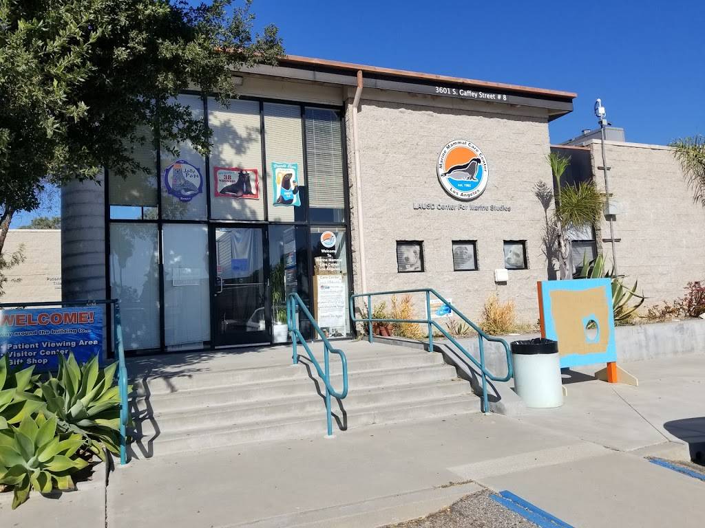 Marine Mammal Care Center | 3601 S Gaffey St, San Pedro, CA 90731 | Phone: (310) 548-5677