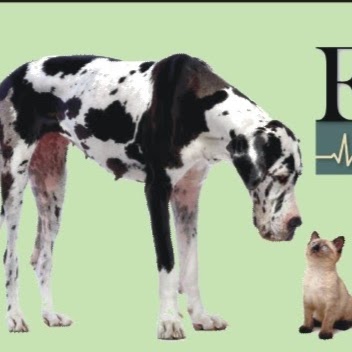 Evergreen Animal Hospital | 32175 Castle Ct, Evergreen, CO 80439, USA | Phone: (303) 674-4331