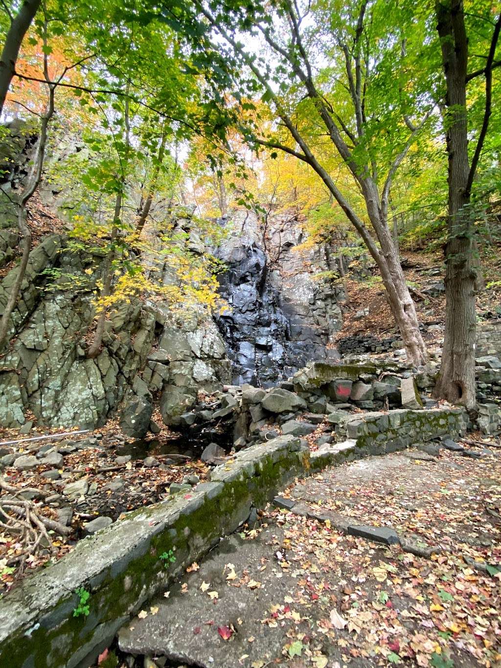 Peanut Leap | Palisades, NY 10964, USA