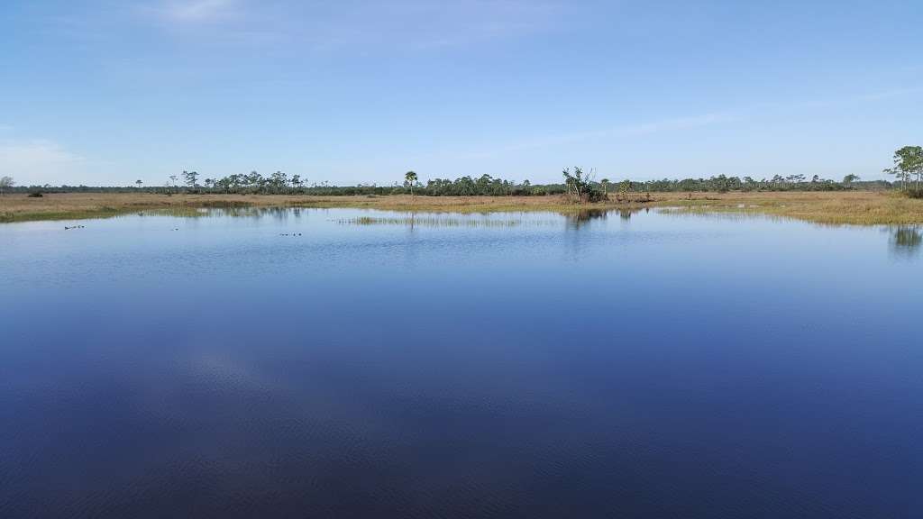 Pine Glades Natural Area | 14122 W Indiantown Rd, Jupiter, FL 33478, USA | Phone: (561) 233-2400