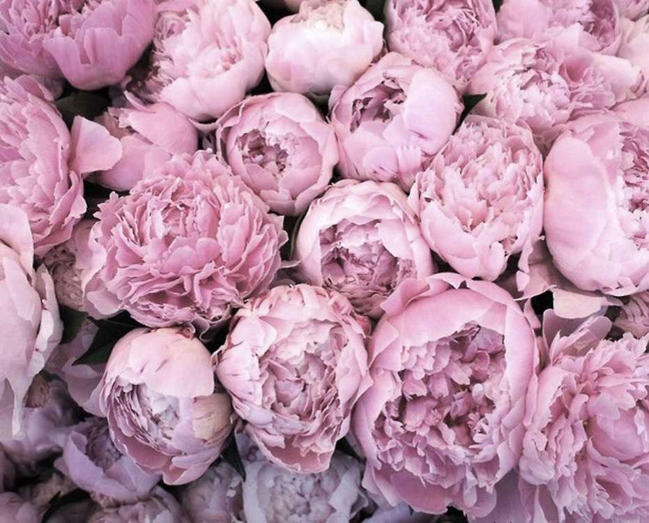 Elegant Floral Design | 12519 111th Ave #1509, South Ozone Park, NY 11420, USA | Phone: (718) 322-9786