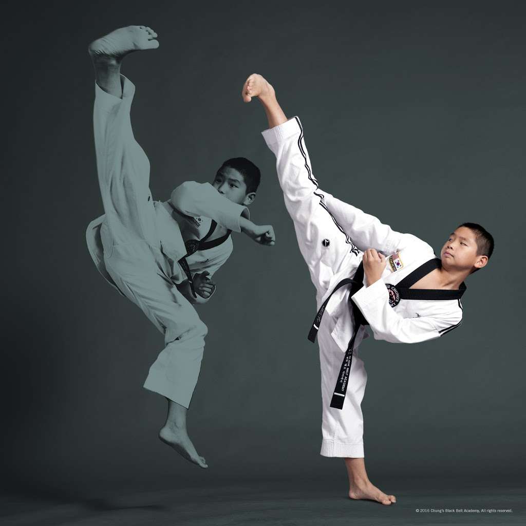 CHUNG’S BLACKBELT ACADEMY | Muskego Plaza, W Janesville Rd, Muskego, WI 53150 | Phone: (414) 422-1399