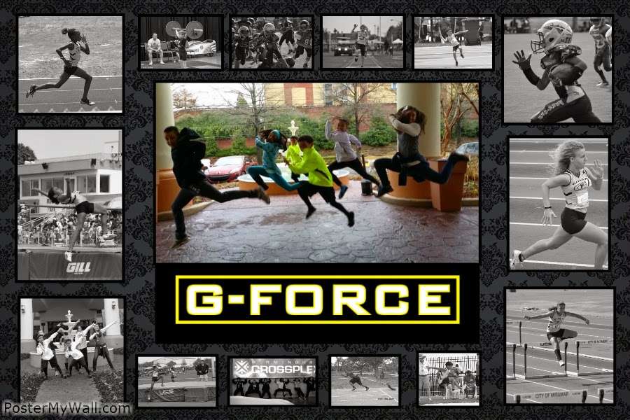 G-Force Speed | 600 Indian Trace, Weston, FL 33326, USA | Phone: (754) 246-3438