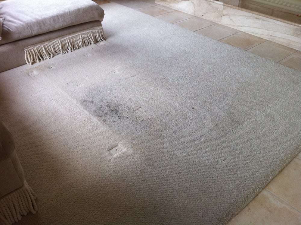 Heavens Best Carpet Cleaning Las Vegas NV | 7418 Old Compton St, Las Vegas, NV 89166, USA | Phone: (702) 454-1900