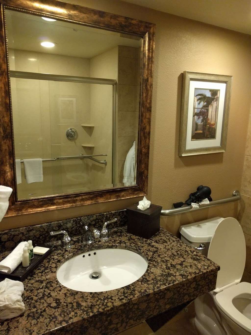 Buena Vista Suites | 8203 World Center Dr, Orlando, FL 32821 | Phone: (407) 239-8588