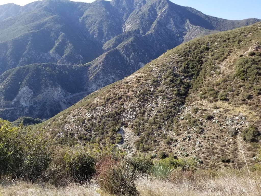 Mt. Baldy Wilderness Preserve | Angeles National Forest San Gabriel Mountains National Monument, Barrett Stoddard Truck Trail, Claremont, CA 91711, USA | Phone: (626) 815-1019