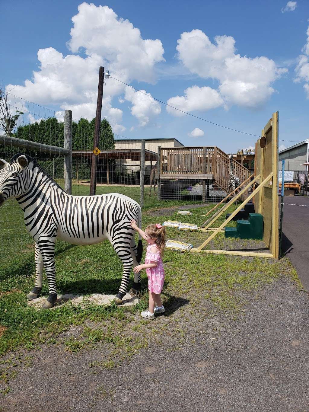 Safari Farm Petting Zoo | 1675 Mt Cobb Rd, Lake Ariel, PA 18436, USA | Phone: (570) 430-8584