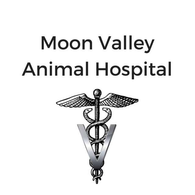 Moon Valley Animal Hospital | 13650 N 19th Ave Ste 1, Phoenix, AZ 85029, USA | Phone: (602) 942-8850