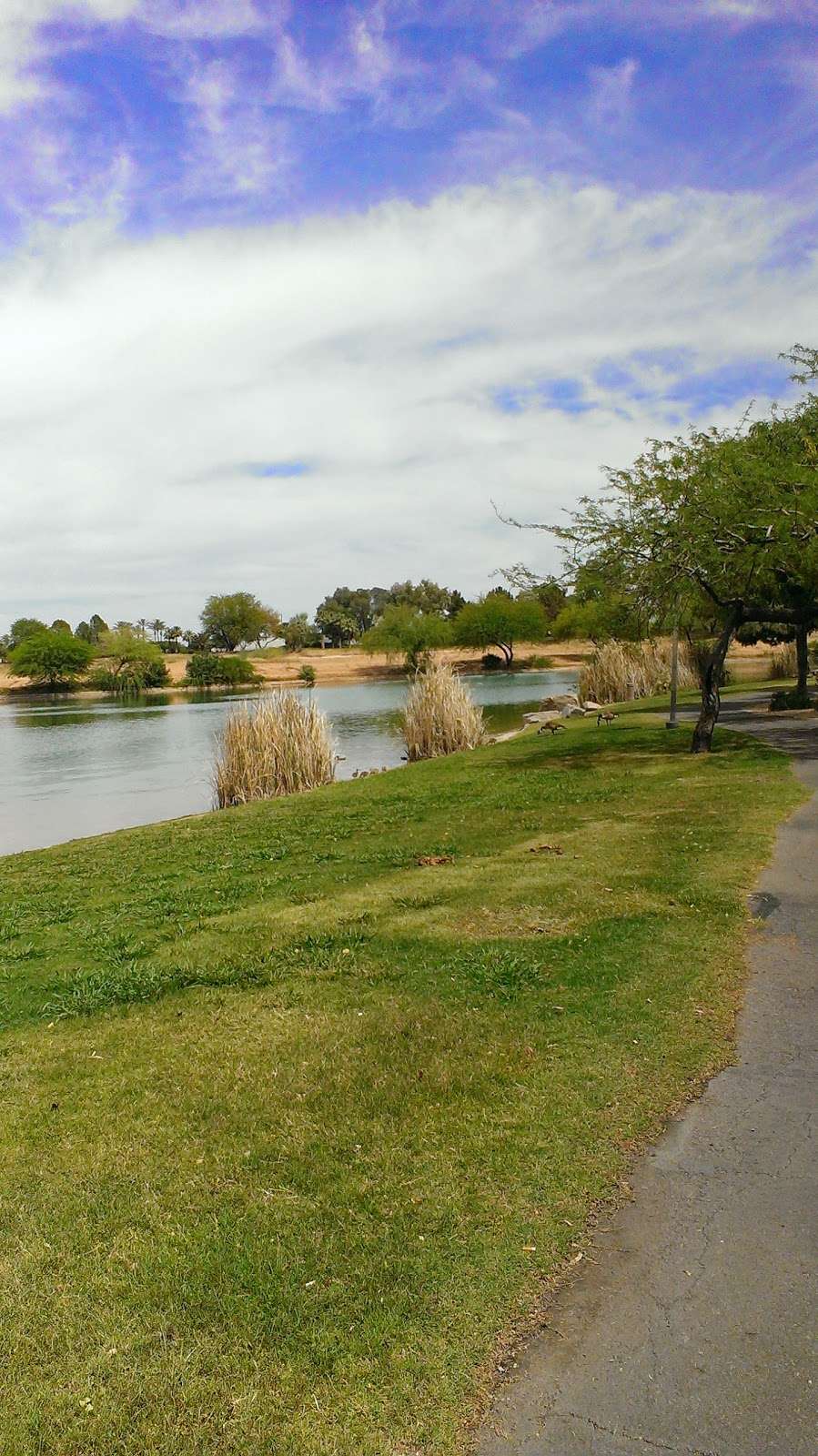 Centennial Cir & River Pkwy | Tempe, AZ 85284, USA