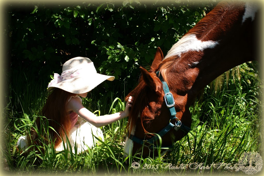 Promise Ranch Therapeutic Riding Center | 6230 CO-86, Franktown, CO 80116, USA | Phone: (303) 817-6531