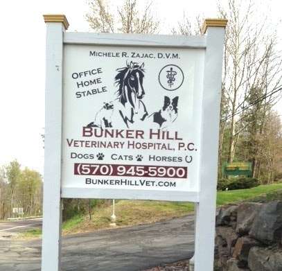 Bunker Hill Veterinary Hospital, PC | 214 DGK Ln #200, Factoryville, PA 18419, USA | Phone: (570) 945-5900
