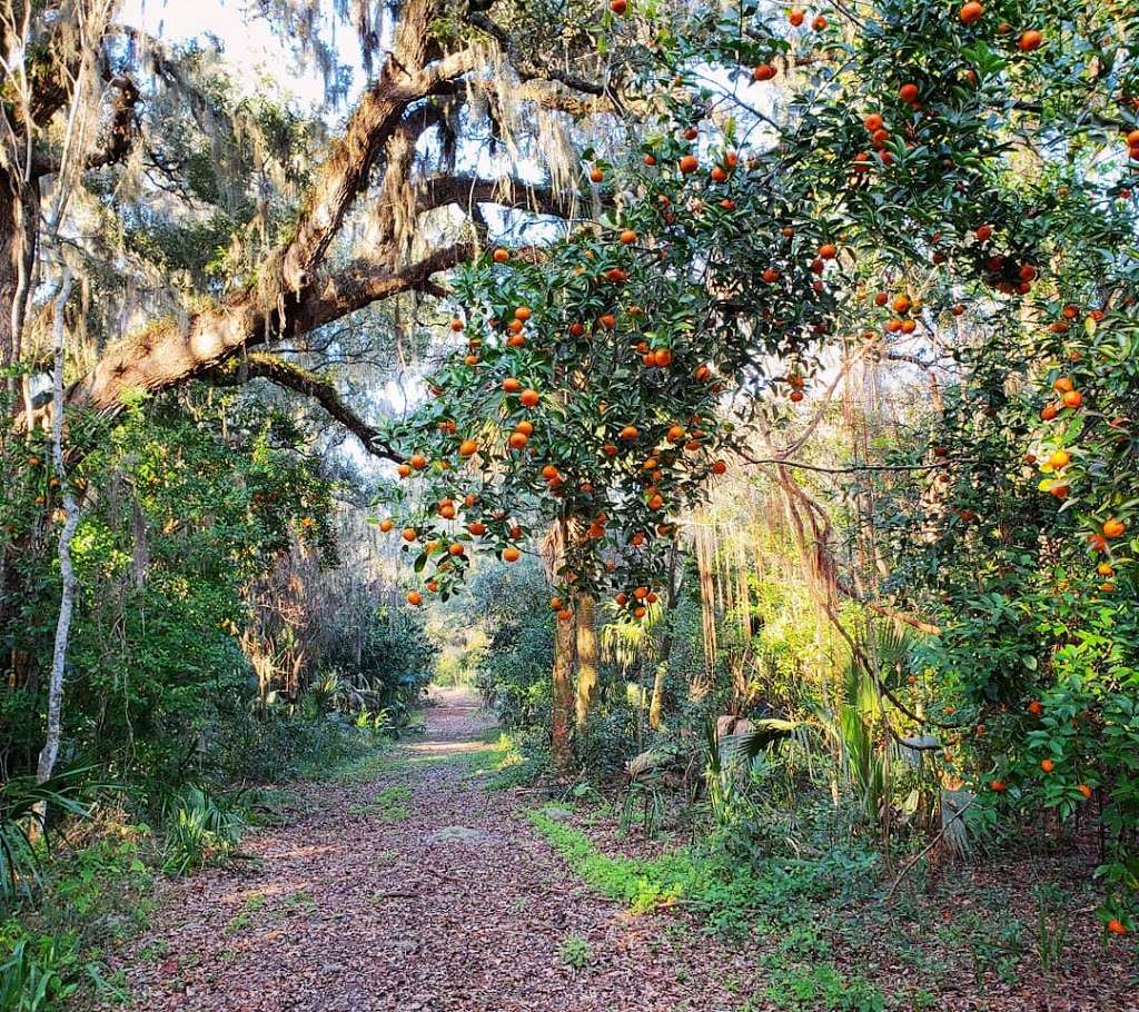 Bourlay Historic Nature Park | 851 N Canal St, Leesburg, FL 34748, USA | Phone: (352) 343-3777