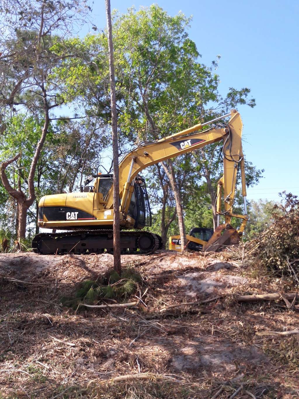 Trees & Blooms Garden Center & Nursery | 6989 SE Burnett Ave, Stuart, FL 34997, USA | Phone: (772) 220-8891