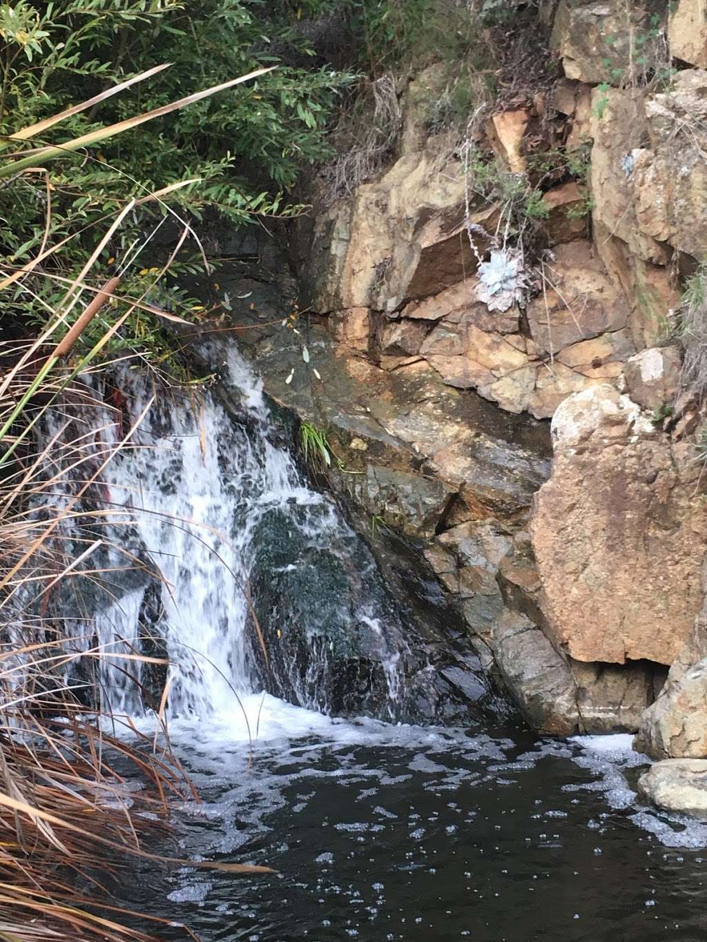 Coppers Creek Falls | Unnamed Road, Carlsbad, CA 92009, USA