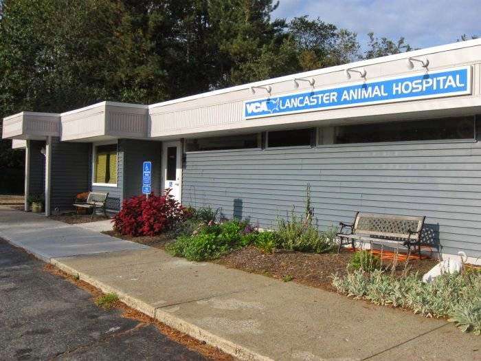 VCA Lancaster Animal Hospital | 456 High St a, Lancaster, MA 01523, USA | Phone: (978) 368-8363