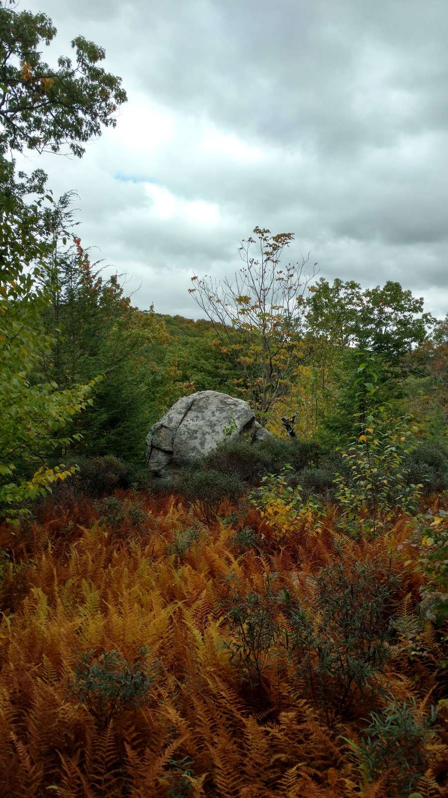 Times Square on the Long Path | Southfields, NY 10975, USA