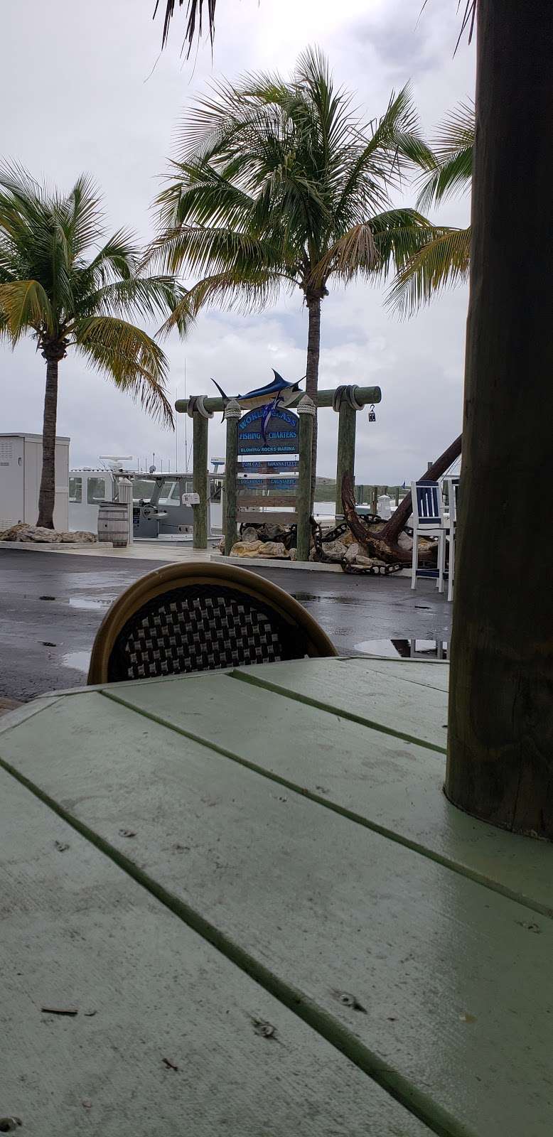 Blowing Rocks Marina/Tiki Bar | 18487 SE Federal Hwy, Jupiter, FL 33469 | Phone: (561) 746-3312