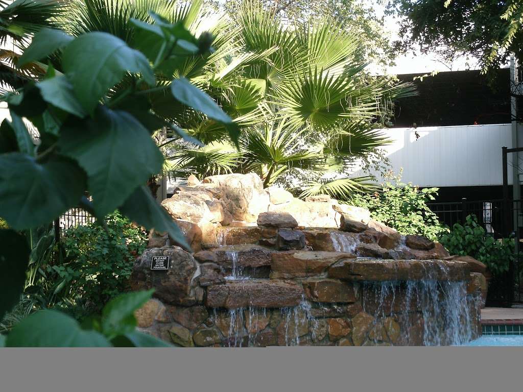 Midtown Arbor Place Apartments in Houston, TX | 10 Oak Ct, Houston, TX 77006, USA | Phone: (832) 426-1013