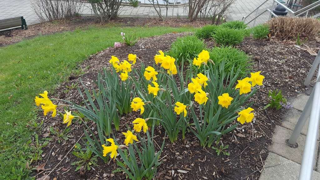 Manasquan Reservoir | 311 Windeler Rd, Howell, NJ 07731, USA | Phone: (732) 919-0996