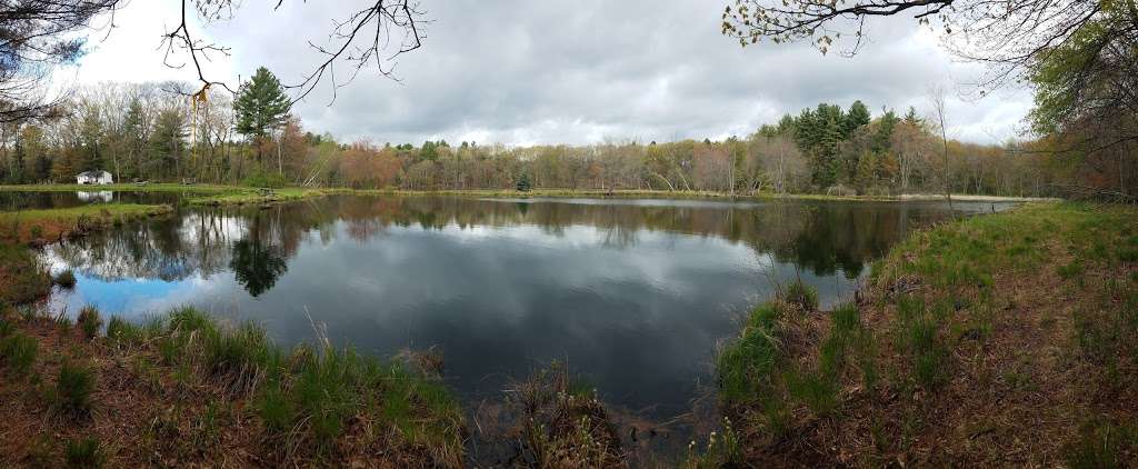 Felton Conservation Area | Marlborough, MA 01752, USA