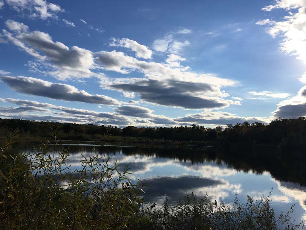 Seabrook Town Forest | Kensington, NH 03833, USA