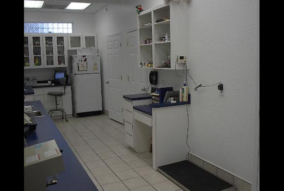 Lakeland Animal Clinic | 3421 Lakeland Hills Blvd, Lakeland, FL 33805, USA | Phone: (863) 688-3338