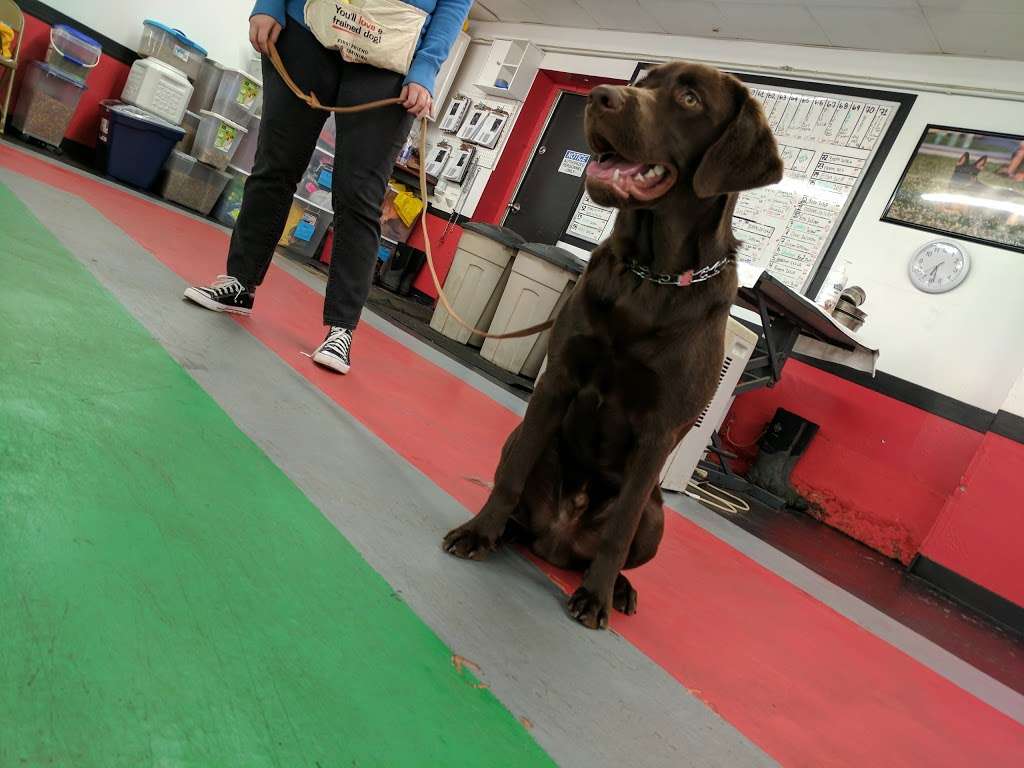 First Friend K-9 Training | 12401 Reynolds Dr, Fishers, IN 46038, USA | Phone: (317) 842-4199