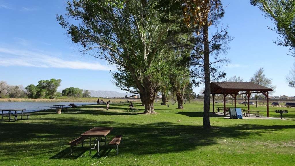 Mojave Narrows Regional Park | 18000 Yates Rd, Victorville, CA 92392 | Phone: (760) 245-2226