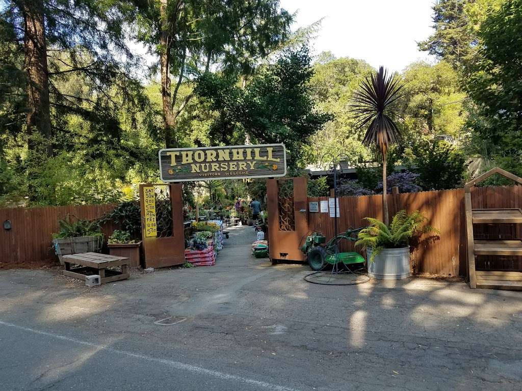 Thornhill Nursery | 6250 Thornhill Dr, Oakland, CA 94611, USA | Phone: (510) 339-1311