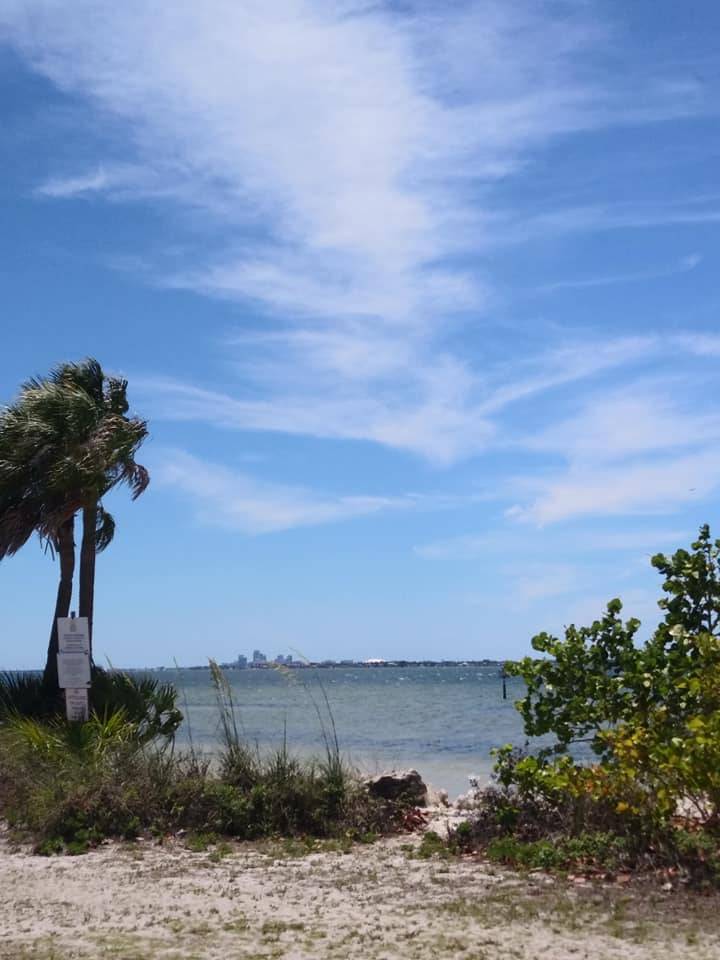 Picnic Island Park | Tampa, FL 33616, USA | Phone: (813) 274-8615