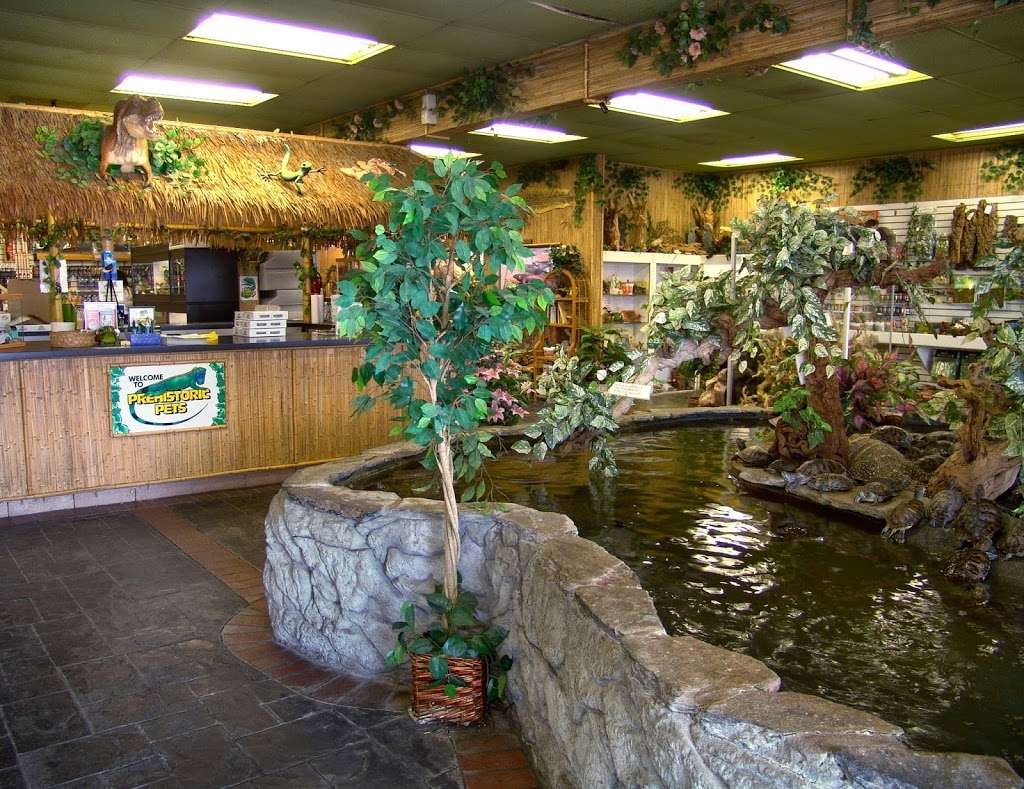 Prehistoric Pets | 18822 Brookhurst St, Fountain Valley, CA 92708, USA | Phone: (714) 500-0592