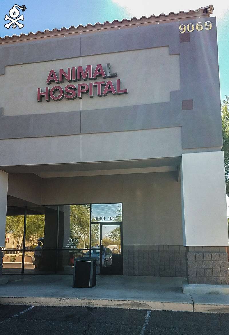 West Olive Animal Hospital Llc | 10651 W Olive Ave #100, Peoria, AZ 85345, USA | Phone: (623) 334-4121