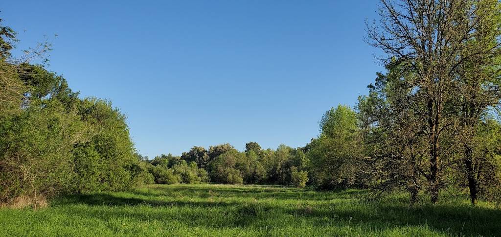 Sauvie Island Wildlife Area | 18330 NW Sauvie Island Rd, Portland, OR 97231, USA | Phone: (503) 621-3488