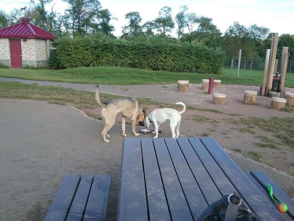 Rosedale Dog Park | Lawrence Hopewell Trail, Pennington, NJ 08534, USA