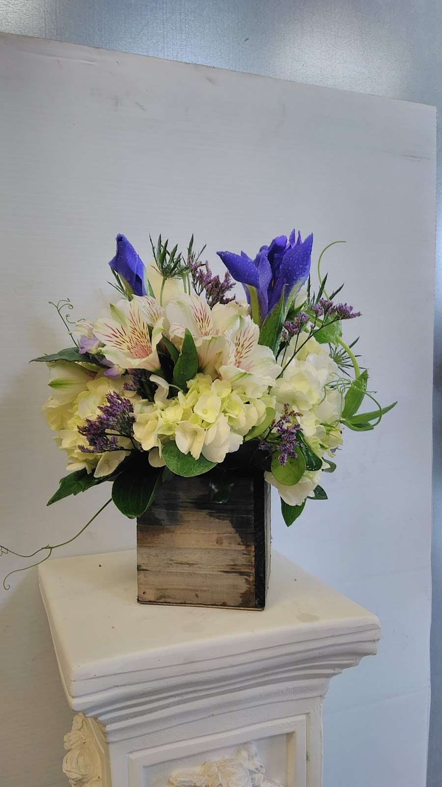 Westford Florist | 288 Littleton Rd, Westford, MA 01886, United States | Phone: (978) 577-6071