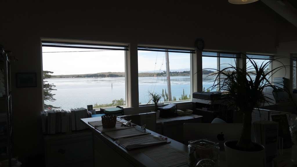 Bodega Bay & Beyond Vacation Home Rentals | 575 CA-1, Bodega Bay, CA 94923, USA | Phone: (707) 875-3942