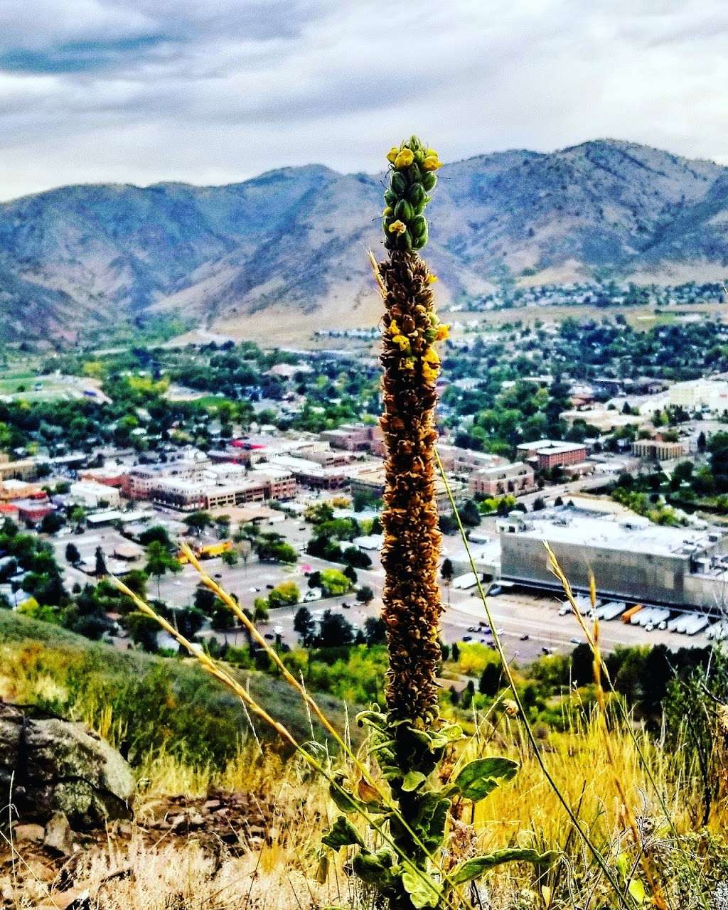 South Table Mountain Peak | Golden Summit Trail, Golden, CO 80401