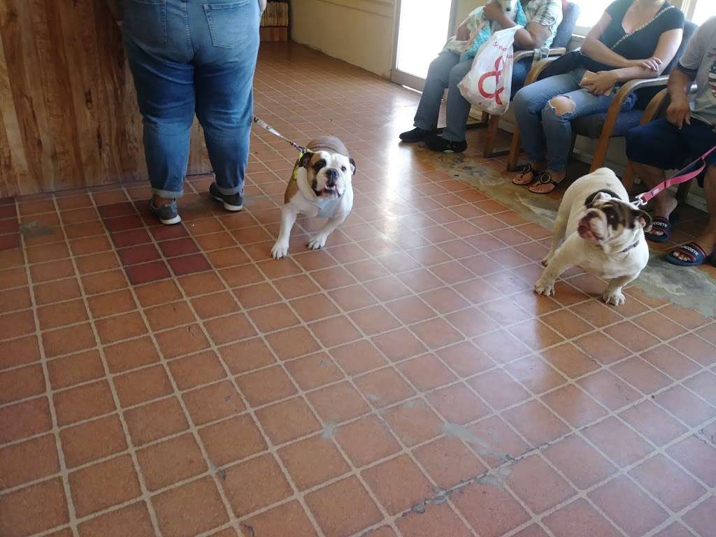 Michael Butchko DVM | 5488 Mission Boulevard, Riverside, CA 92509, USA | Phone: (951) 686-2242 Michael Butchko DVM | 5488 Mission Boulevard, Riverside, CA 92509, USA | Phone: (951) 686-2242