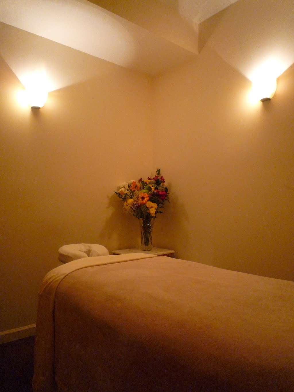 Ariana Day Spa | 590 Commerce St, Thornwood, NY 10594 | Phone: (914) 773-2300