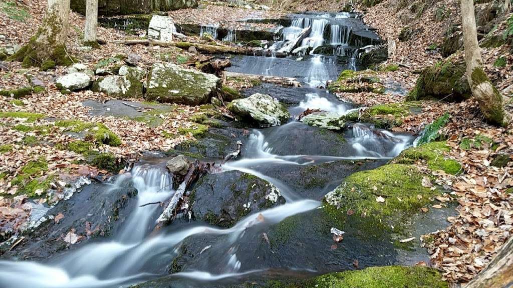 Worthington State Forest | Old Mine Rd, Columbia, NJ 07832, USA | Phone: (908) 841-9575