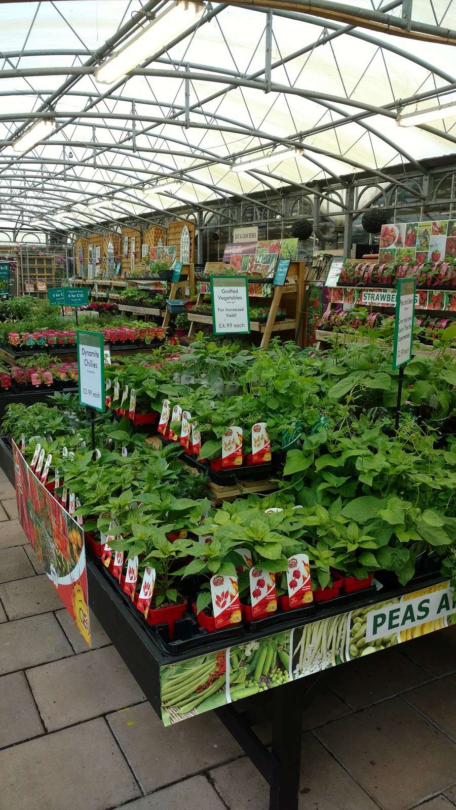 Squires Garden Centre | A25, Reigate RH2 9RE, UK | Phone: 01737 247217