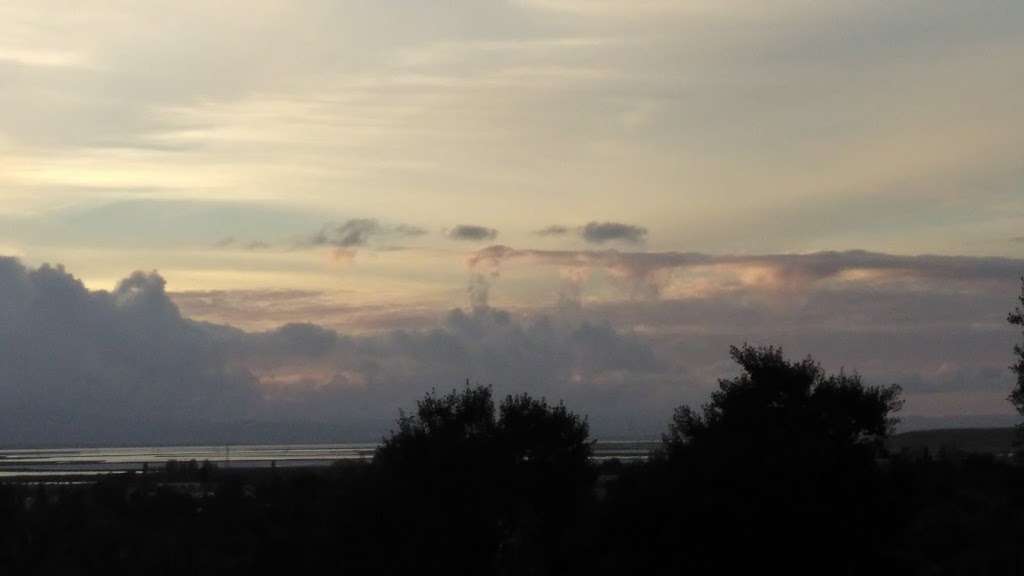 Royal Travels | 48437 Cottonwood St, Fremont, CA 94539, USA | Phone: (510) 623-1365