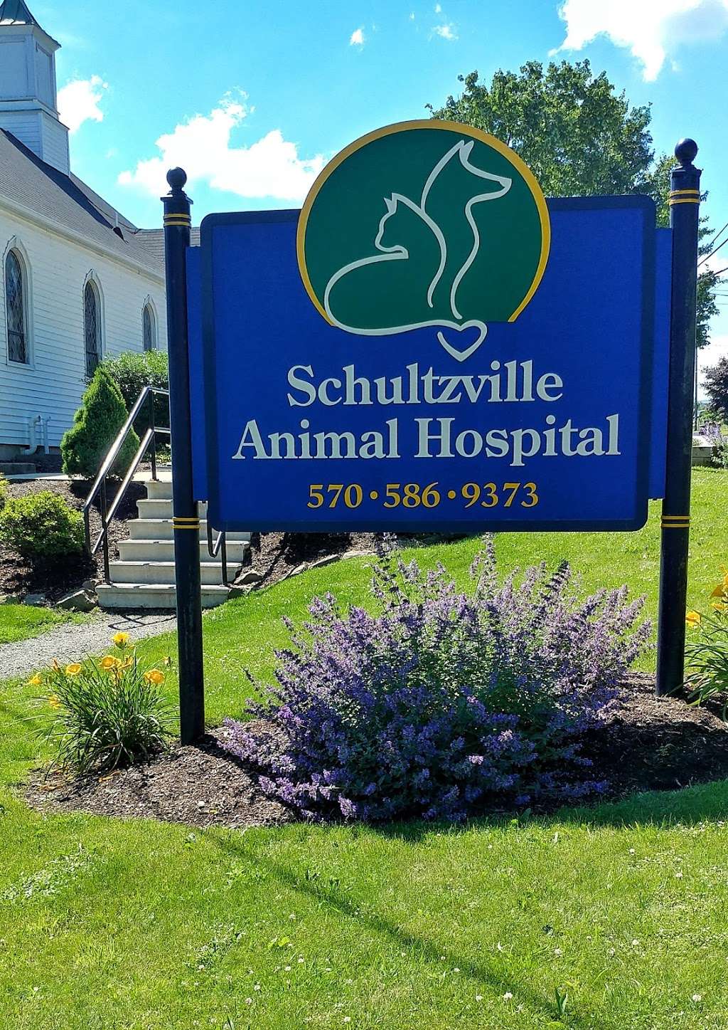 Schultzville Animal Hospital | 1310 Winola Rd, Clarks Summit, PA 18411, USA | Phone: (570) 586-9373